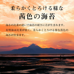 有明海産 味海苔 10切100枚 4本セット 合計400枚 【福岡有明のり】 送料無料 《30日以内に出荷予定(土日祝除く)》福岡県 鞍手町 たっぷり 親和園