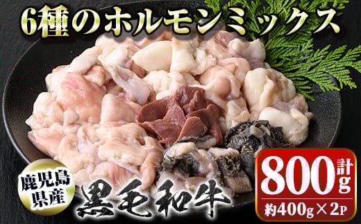 
            P01001 鹿児島県産黒毛和牛ホルモンミックス(計約800g・約400g×2P)鹿児島 国産 九州産 黒毛和牛 牛肉 ホルモン ミックス ハツ モツ 冷凍 焼肉 もつ鍋 煮込み【新村畜産】
          