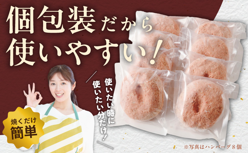 【定期便】無添加 牛肉100％ ハンバーグ 8個 全2回 【2026年2月＆2026年5月発送】 099Z449_イメージ5