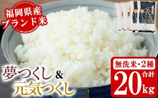 《無洗米》福岡県産米食べ比べセット「夢つくし」と「元気つくし」(2種計20kg・各5kg×2袋) 無洗米 米 お米 おこめ ごはん ご飯 常温 福岡県産 ブランド米 ゆめつくし げんきつくし 常温 常温保存 おにぎり おむすび お弁当 ライス【朝ごはん本舗】as05-061