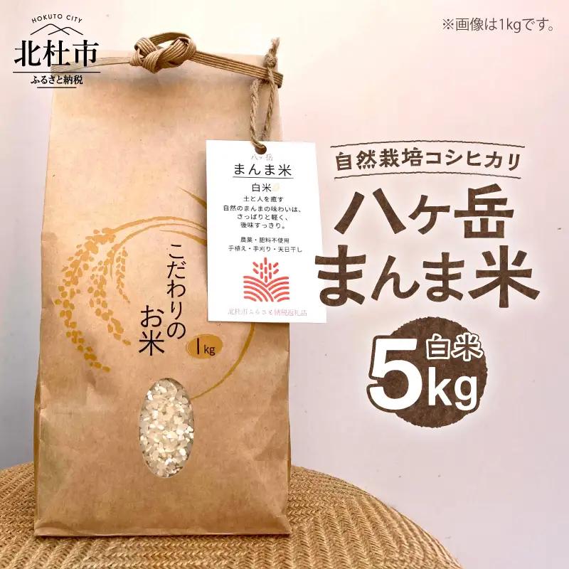 【令和7年度米】八ヶ岳 まんま米 白米5kg（手植え・手刈り・天日干しの自然栽培コシヒカリ） [h359]