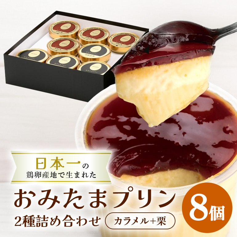 おみたまプリン2種詰合せ 8個入り カラメル＆栗 贈答用黒箱 8-T