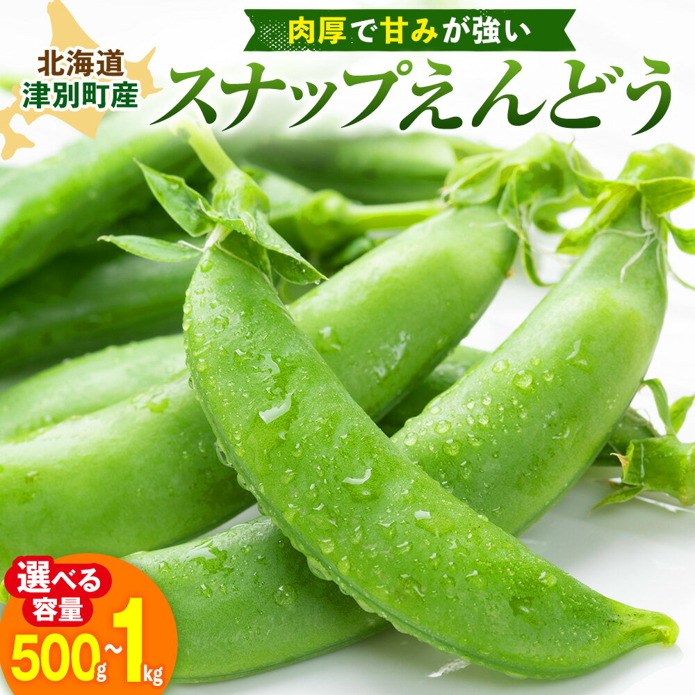 【ふるさと納税】令和8年産 スナップえんどう（品種：グルメ） 500g〜1kg ピンクの八百屋〜ナツやさい〜 | スナックエンドウ 夏野菜 おつまみ お弁当 旬の野菜 産地直送 北海道 津別町 送料無料