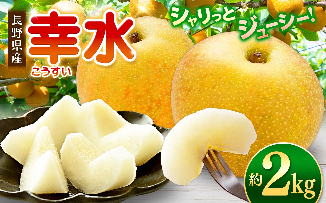 
                  【先行受付】【幸水2kg】高原の「幸水」は硬さ、シャリ感、ジューシー、甘さが違う。海藻エキス投与で、コクと旨味のある梨にグレードアップ！｜ふるさと納税 梨 なし 幸水 フルーツ 甘い ジューシー 果物 鮮度 信州産 長野県 松本市
                