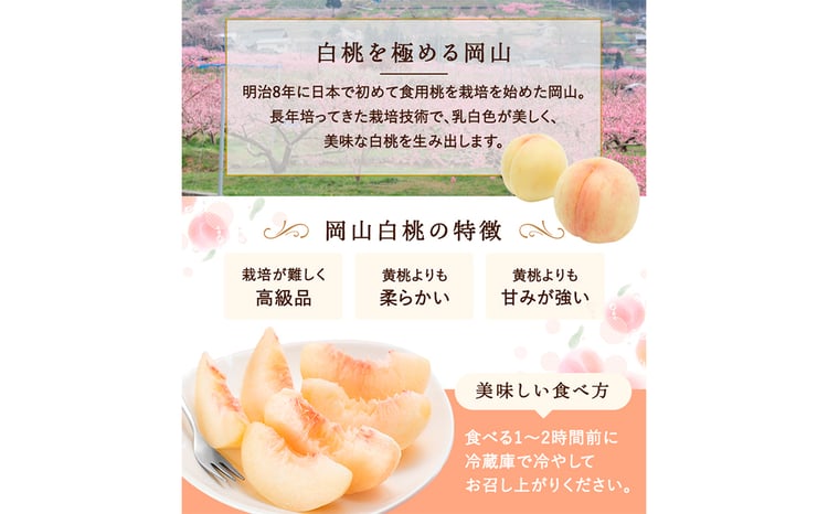桃 2026年 先行予約 白桃 8玉（2kg以上） 等級：ロイヤル 化粧箱入り もも モモ 岡山県産 国産 フルーツ 果物 セット ギフト 