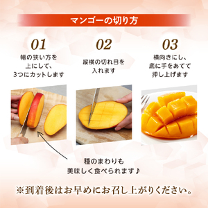 【2026年発送 先行予約】生産農家応援・濃厚果肉 みやざき完熟マンゴー極撰 2L×3玉（マンゴー フルーツ アップルマンゴー 果物 くだもの 2026 先行受付 宮崎）