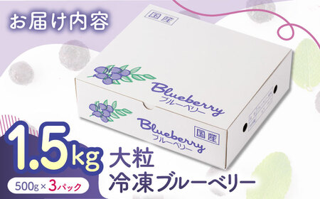 大粒 冷凍ブルーベリー 約1500g（約500g×3pc） 【すみれファーム】果物 フルーツ くだもの 大粒 小分け 熊本県産ブルーベリー  [ZEP008]