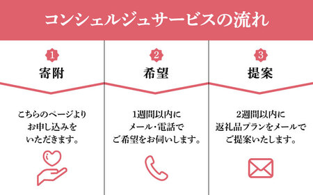 【那珂川市コンシェルジュ】返礼品おまかせ！寄附額30万円コース[GZZ022]