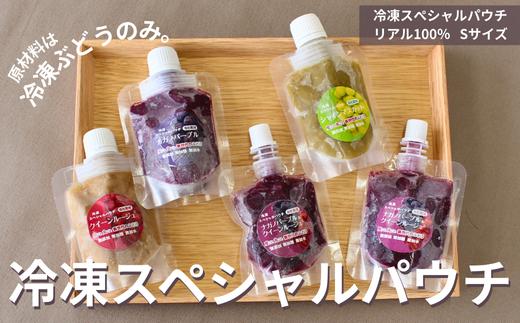 TK26 ぶどう 冷凍スペシャルパウチ リアル100％ Sサイズ（45g） 5個 // 長野県 南信州 冷凍フルーツ 冷凍パウチ パウチ シャーベット スムージー 無添加 無加糖 無加水 葡萄 シャインマスカット ナガノパープル クインルージュ®