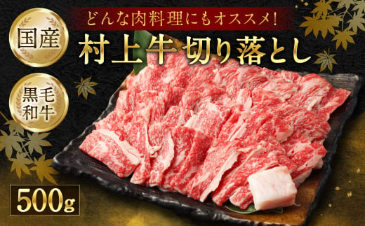 どんな肉料理にもオススメ！ 村上牛100％切り落とし500g 1021002