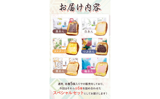 もちもちつりがね饅頭スペシャルセット全6種×5個計30個有限会社あんちん《30日以内に出荷予定(土日祝除く)》饅頭和菓子---wshg_antug_30d_22_14000_30c---