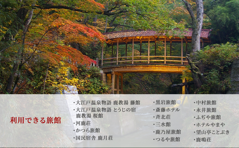 旅行 長野 信州 鹿教湯温泉 宿泊 補助券 1枚 3,000円 温泉 旅館 旅行券 宿泊券 施設利用券 利用券 トラベル チケット ホテル券 ホテルクーポン ホテル 長野県