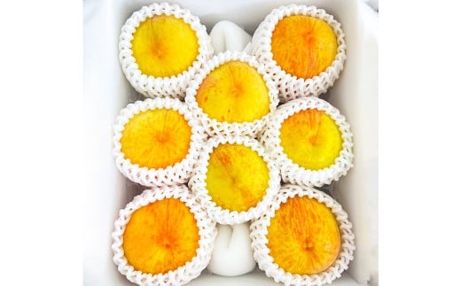 岡山県美咲町産 桃 【黄金桃】約2kg 【2026年9月発送予定】／ マンゴーピーチ 黄桃 もも 果物 果実 フルーツ 国産 岡山県 美咲町 冷蔵