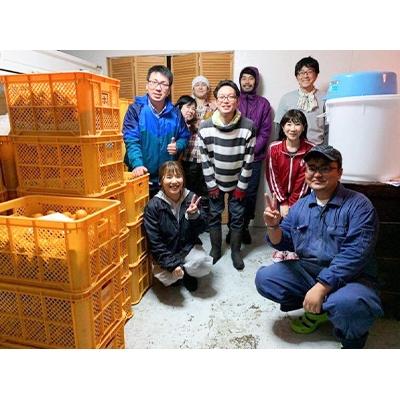 ふるさと納税 玉名市 玉名市産甘口みかんワイン　ぶさいくワイン　720ml |  | 02