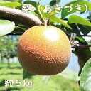 【ふるさと納税】【先行予約】梨（あきづき）約5kg　2025年発送分　千葉県産　長生　一宮