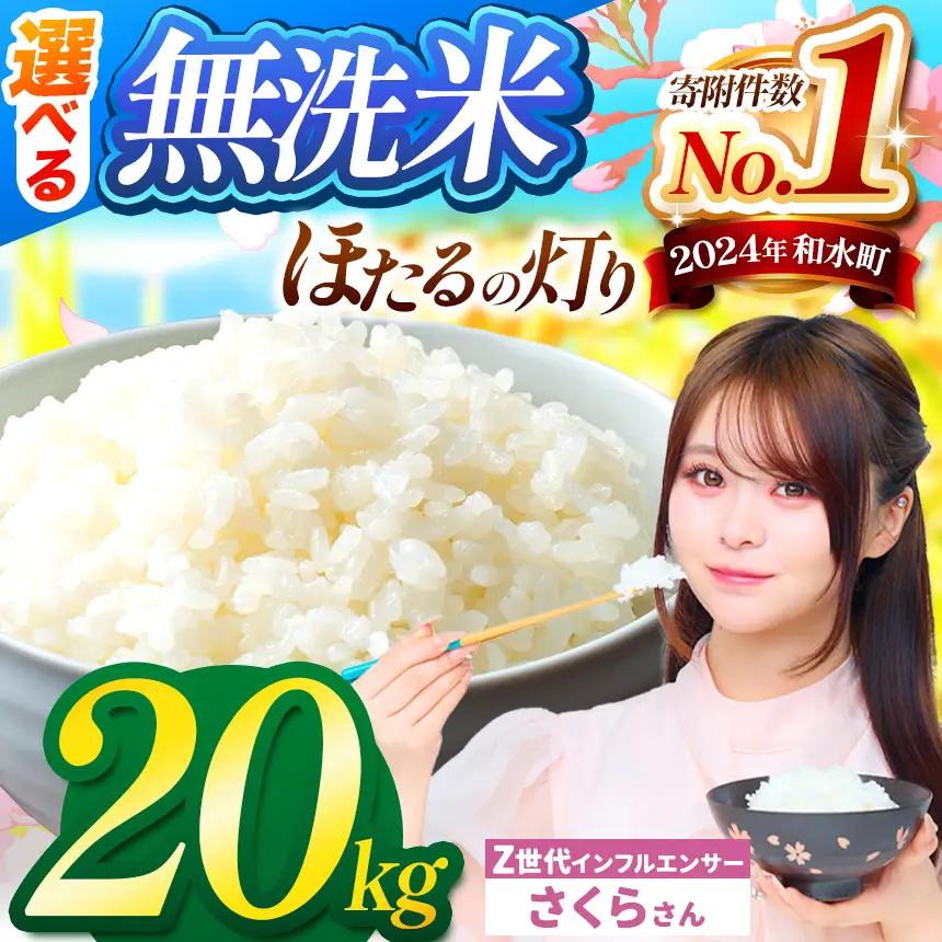 令和7年産 熊本県産 ほたるの灯り 無洗米 20kg | 選べる 銘柄 ほたるの灯り 森のくまさん 容量 5kg 10kg 15kg 20kg 25kg 30kg特A 小分け 訳あり 規格外 