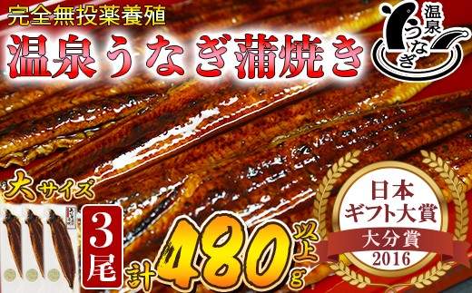 
温泉うなぎ蒲焼 3尾（160gサイズ） 国産うなぎ 人気 国産 蒲焼 蒲焼き かば焼き 鰻屋 個包装 冷凍 真空 ＜104-012_5＞
