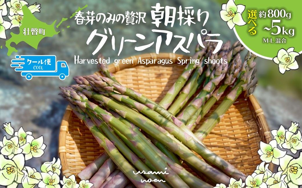 
                  【2026年予約】朝採りグリーンアスパラ（春芽）M-L混合 北海道壮瞥町産 選べる容量約800g～5kg 【ふるさと納税 人気 おすすめ 北海道 アスパラガス  あすぱら 朝採れ 野菜 旬 春 とれたて 甘い 冷蔵 産地直送 グルメ 送料無料】SBTAJ031-v
                