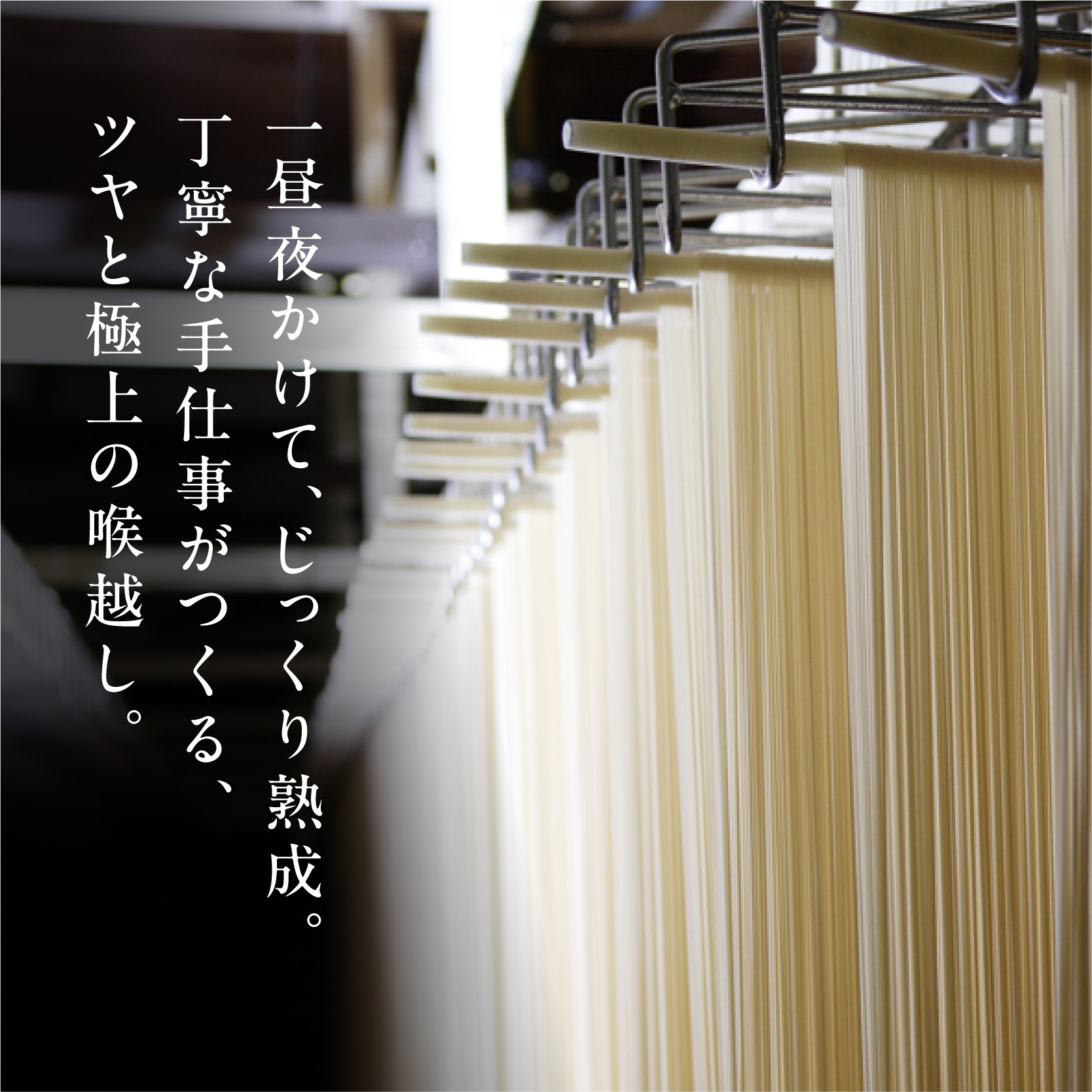 雪国の国産小麦そうめん 24袋入り (1袋 200g) 乾麺　020-F-UZ020