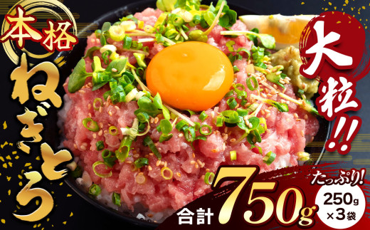 清幸丸水産 大人気！ねぎとろ750g（250g×3袋）