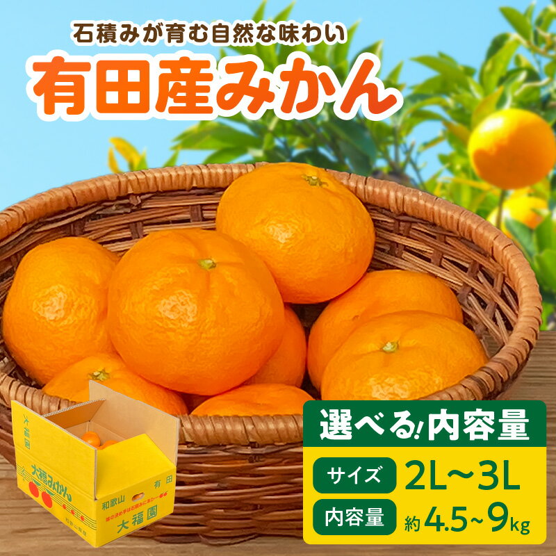 【ふるさと納税】【限定】 和歌山県 有田産 みかん 選べる 内容量 4.5kg 9kg サイズおまかせ 3L ～ 2L 防腐剤なし 安全 ノーワックス 柑橘 フルーツ 果物 果実 ジューシー デザート 食品 食べ物 お取り寄せフルーツ 湯浅町 送料無料