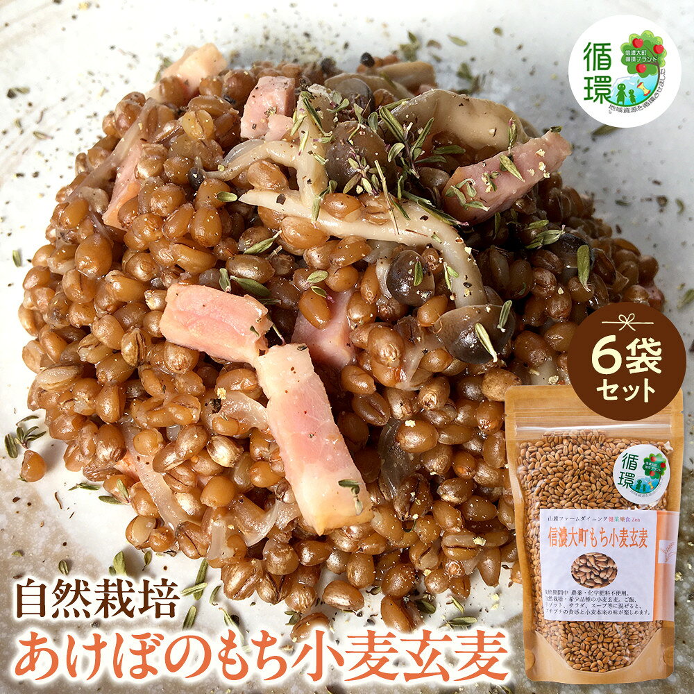 【ふるさと納税】【信濃大町循環ブランド】自然栽培あけぼのもち小麦玄麦6袋セット | あけぼのもち小麦 玄麦 食材 おいしい 料理 レシピ ふるさと納税 人気 おすすめ 送料無料