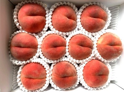 白桃（品種おまかせ）３ｋｇ　0020-2612