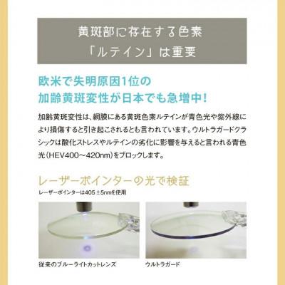 ふるさと納税 岡崎市 ウルトラガード クラシック BK/ブルーグレー |  | 03