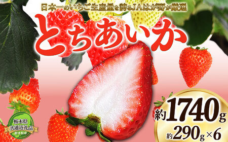 【2026年先行予約】【栃木県共通返礼品】日本一のいちご生産量を誇るJAはが野が厳選 とちあいか平パック6P  | 栃木県 下野市