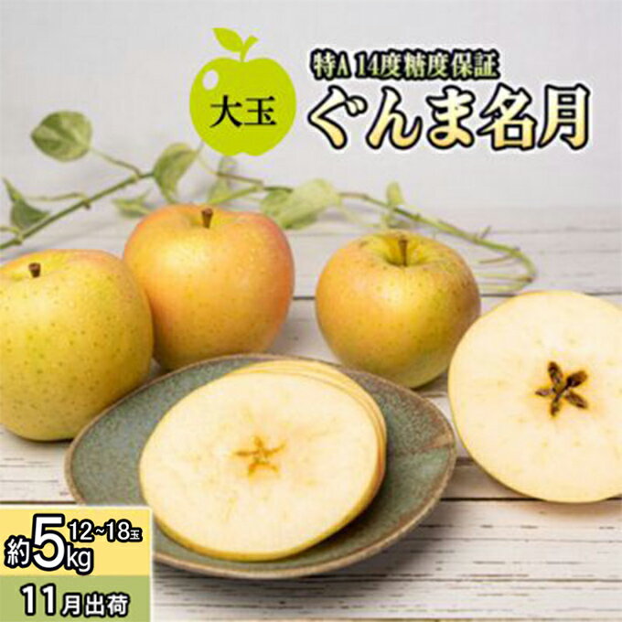 【ふるさと納税】11月 特A ぐんま名月約5kg（12～18個）14度糖度保証【青森りんご・ゆうきアップル・11月】 果物類 フルーツ 果物 　お届け：2026年11月20日～2026年12月20日