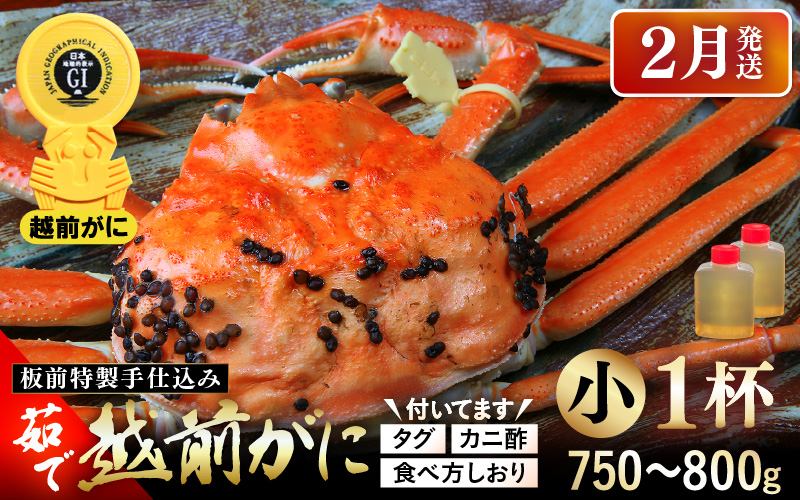 ≪茹で≫越前がに小（タグ付き）1杯（生で750～800g）カニ酢90cc付 板前特製手仕込み 食べ方しおり付き【2月発送分】 [e29-x001【】02]