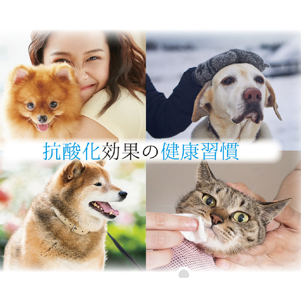アニマルペットシータラクト 60カプセル入り×2箱│サプリメント 健康 健康食品 ペット 犬猫用 免疫 関節 腰 ビタミン 乳酸菌 三重県 四日市市 四日市 ふるさと納税_イメージ2