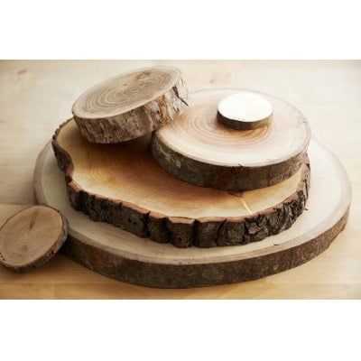 
岩泉の森の樹のプレートお好みの10樹種set【1426749】
