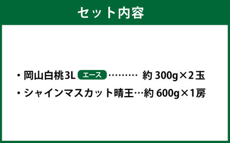 岡山県産 岡山白桃 エース 3Lサイズ 約300g×2玉・シャインマスカット 晴王 約600g×1房 詰合せ 【2026年7月上旬～8月下旬発送予定】 白桃 桃 もも モモ マスカット ぶどう 葡萄 