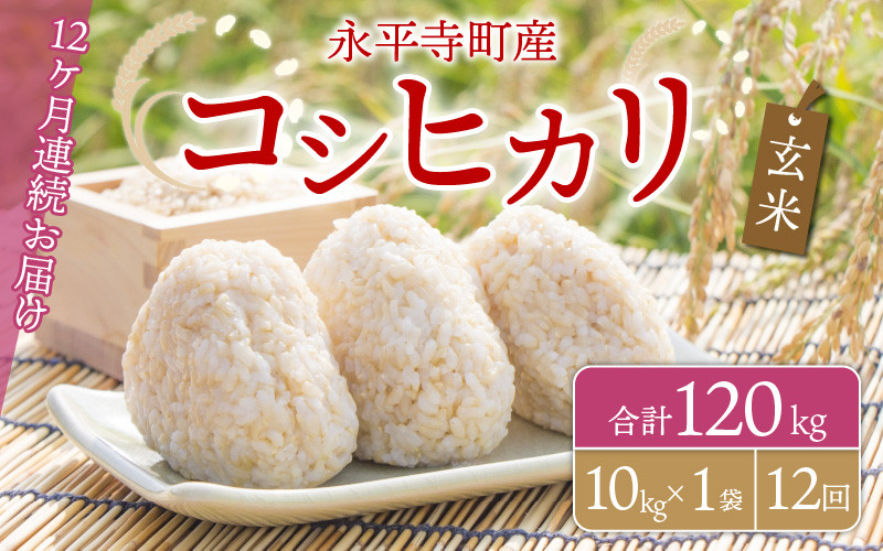 
【12ヶ月連続お届け】【玄米】 令和5年度産 永平寺町産 コシヒカリ 10kg×12ヶ月（計120kg） [K-033084]
