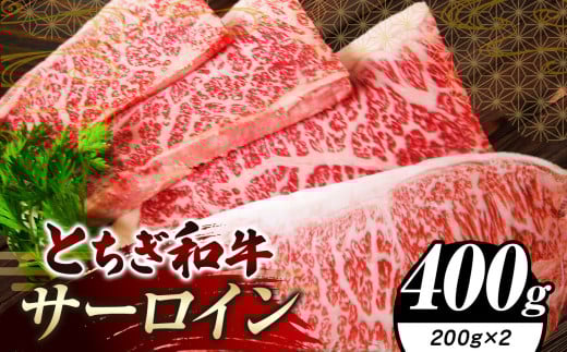 栃木県共通返礼品 とちぎ和牛サーロイン 200g×2｜サーロイン 黒毛 和牛 牛肉 焼肉 ステーキ BBQ バーベキュー ブランド和牛 とろける 霜降り 赤身 切り落とし ふるさと 納税 イチオシ おすすめ 栃木県 下野市 しもつけ市