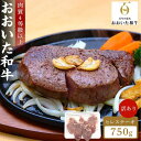 【ふるさと納税】訳あり おおいた和牛 ヒレステーキ 約750g（約150g×5枚）｜肉質4等級以上 国産和牛 | 大分県 ふるさと 納税 支援品 返礼 返礼品 名産 特産 名産品 ご当地 ご当地グルメ お取り寄せ 和牛 牛肉 お肉 豊後牛 ステーキ 赤身 赤身肉 国産 訳アリ