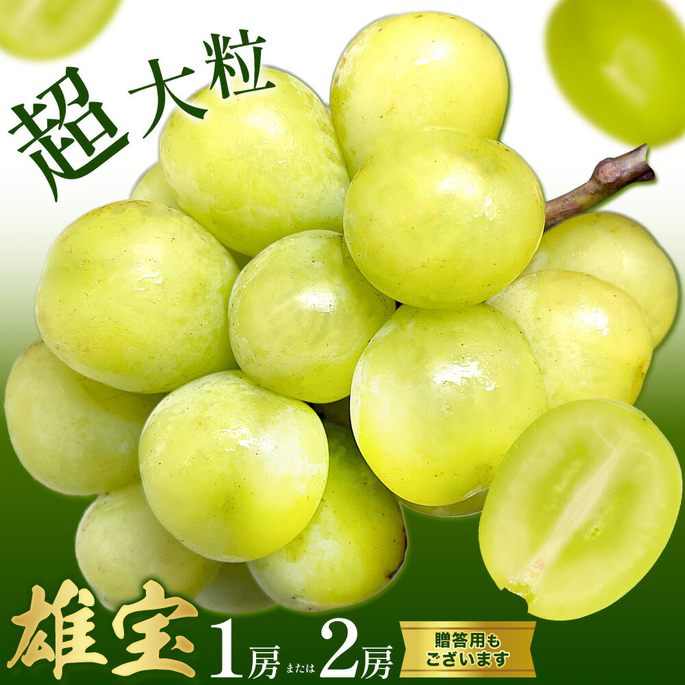 【ふるさと納税】ぶどう 雄宝 1房 2房 贈答用もあり 大粒 種なし 皮ごと フルーツ 果物 ギフト 国産 季節限定 茨城県 結城市 《9月上旬-9月下旬頃出荷》 會澤ぶどう・キウイフルーツ園 【配送不可地域あり】(離島)