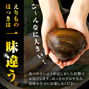 えりも産ほっき×6個 【er004-044】ホッキ貝 貝 海鮮 海産物 魚介 刺身 送料無料 冷蔵 北海道 えりも町