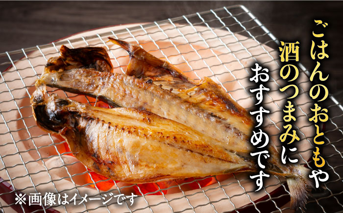 【贅沢な旬鮮魚の干物！旨味がぎゅっ！】 五島 干物 6種 セット 鮮魚 魚介類 【はたした】 [RAF001]