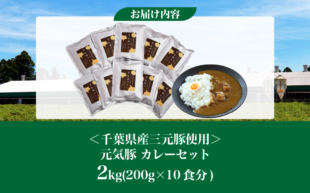 【千葉県産三元豚使用】元気豚 カレーセット　2kg(200g×10食分)【配送不可地域：離島・沖縄県】 TAKB013