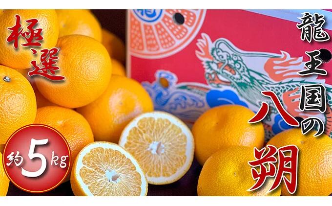 【ふるさと納税】 先行予約 極撰 龍王国の八朔 約5kg はっさく ハッサク 柑橘 果物 フルーツ 果実 みかん ふるさと納税 スイーツ デザート ジュース ゼリー ジャム 人気 ふるさと納税はっさく ふるさと納税柑橘 ギフト プレゼント 贈答 お取り寄せ 送料無料