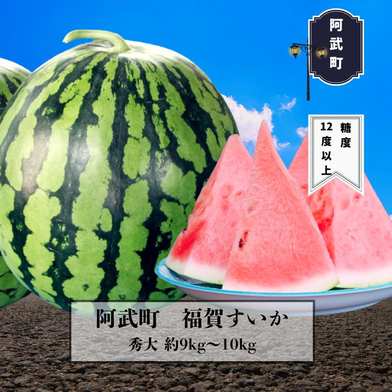 
            [№5681-0127]1株1玉獲りの自信作「福賀 すいか」秀大 約9kg～10kg 1個
          