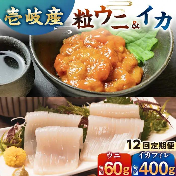 【全12回定期便】剣先イカ  粒うに セット [JCC019]