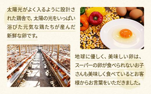 【定期便12か月】関匠卵 たくみ 30個×12か月｜卵 30個 赤玉 玉子 たまご 生卵 鶏卵 産みたて 新鮮 濃厚 健康 TKG たまごかけごはん ご飯のお供 国産 ギフト 贈答 贈り物 お中元 お