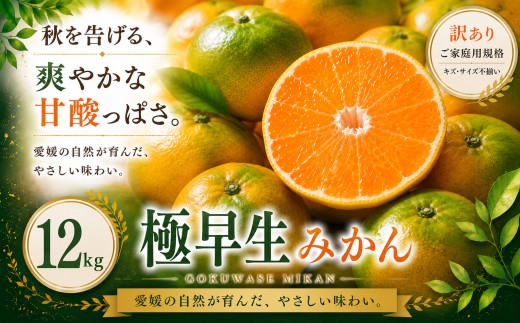 ＜訳あり 愛媛県産極早生みかん 合計約12kg＞『2026年9月下旬～11月上旬迄に順次出荷予定』ごくわせ ミカン 蜜柑 食感 甘い ご家庭用 果汁 果物 くだもの フルーツ オレンジ 柑橘 人気柑橘 特産品 株式会社OSN 愛媛県 西予市 【常温】