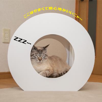 ふるさと納税 中津川市 猫のつめとぎ+House「まる」(ぷらすはうすまる)