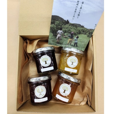 【母の日】果実たっぷり手づくりジャムセットC　A3-30M