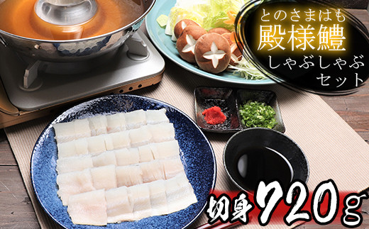 殿様鱧（とのさまはも）しゃぶしゃぶセット 切身720g 6人前～8人前 鍋 魚 鱧 はも ハモ 鱧しゃぶ 湯引き 鱧鍋 鱧しゃぶセット しゃぶしゃぶ 骨切り 天然鱧 冷凍 父の日 ＜101-013_5＞