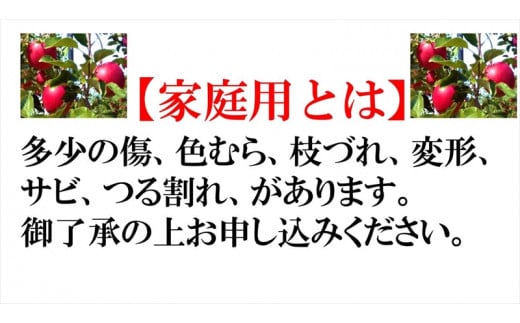 長野県産 紅玉 りんご 家庭用 約4.5kg （18～28玉）〈2026年10月出荷分／北海道・沖縄県・離島は配送不可〉 信州 果物 旬彩 先行予約 季節限定【 当園にて愛情たっぷりに育てたりんご 長